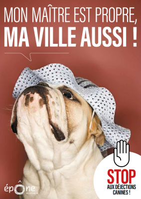 dejections canines 1