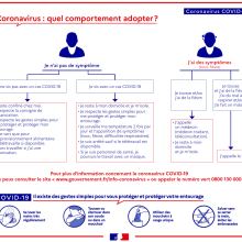 Symptômes comportements à adopter