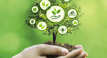 Semaine Environnement